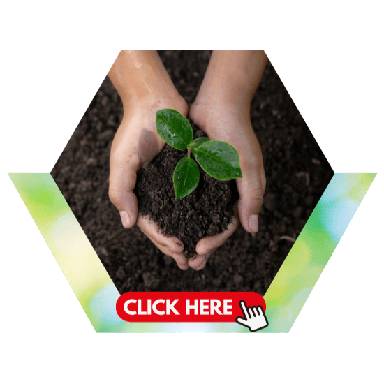 โครงงานศึกษาสัดส่วนที่เหมาะสมในการทำสาร